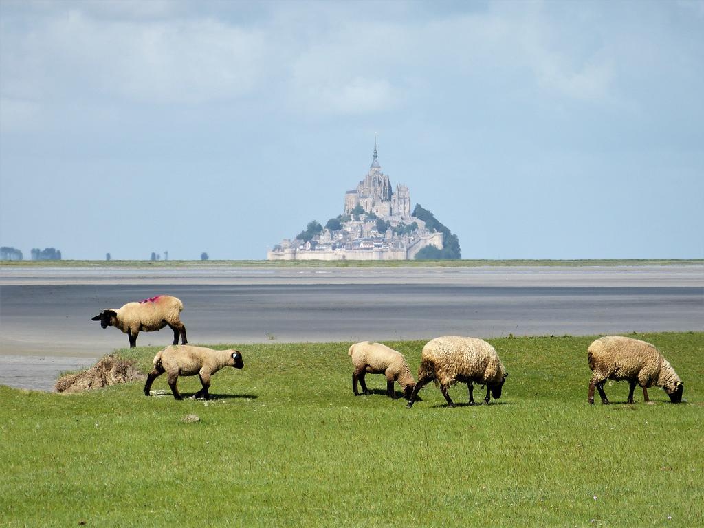 Le Diamant Villa Le Minihic-sur-Rance Bagian luar foto